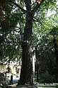 VBS_1518 - Castello di Miradolo - Mostra Oltre il giardino l'Abbecedario di paolo Pejrone